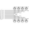 Cordial D-Sub-Tascam / 8 x XLR male CFD 5 DMT Thumbnail 2