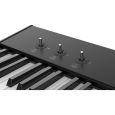 Studiologic SL73 Studio Thumbnail 4