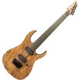 Ibanez RGIXL7-ABL 7-String E-Gitarre Thumbnail 1