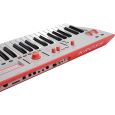 Korg Kross 2-61 NEON GR Limited Edition Thumbnail 2