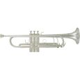 Roy Benson TR-402S Bb-Trompete Pro Series versilbert B-Ware Thumbnail 1