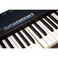 Studiologic Numa Concert Thumbnail 11