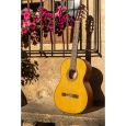 Yamaha CGX 122 MS Konzertgitarre Thumbnail 5