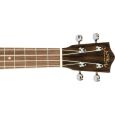 Lanikai ZR-CET Exotic ZirocoteTenor-Ukulele inkl. Gigbag Thumbnail 4