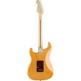 Fender Ltd. Edition AM Pro ASH Strat RW AGN Thumbnail 2