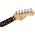 Fender Ltd. Edition AM Pro ASH Strat RW AGN Thumbnail 5