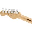 Fender Ltd. Edition AM Pro ASH Strat RW AGN Thumbnail 6