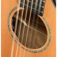 Breedlove Solo Concert BRSRX39CE 12-String Westerngitarre inkl. Koffer Thumbnail 6