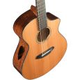 Breedlove Solo Concert BRSRX39CE 12-String Westerngitarre inkl. Koffer Thumbnail 8