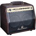 SoundSation Tumbleweed 30DC 30 Watt Thumbnail 2