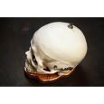 Dr. No Effects Skull Fuzz Limited Edition Thumbnail 3
