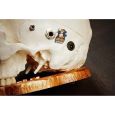 Dr. No Effects Skull Fuzz Limited Edition Thumbnail 4