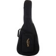 Sigma GM+ PB Peter Bursch Signature Westerngitarre inkl. Gigbag Thumbnail 8