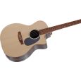 Martin Guitars GPCX1AE 20th Anniversary Westerngitarre Thumbnail 6
