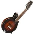 Gold Tone F-12 Mando-Guitar inkl. Koffer Thumbnail 1