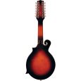Gold Tone F-12 Mando-Guitar inkl. Koffer Thumbnail 2