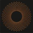 Serato 2x12 Zoll Control Vinyl Sacred Geometry Thumbnail 3