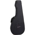 Godin TRIC Case Multiac Nylon Duet Ambiance Koffer Thumbnail 1