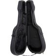 Godin TRIC Case Multiac Nylon Duet Ambiance Koffer Thumbnail 3