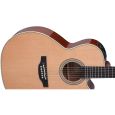 Takamine CNC-WS1 Custom Wide Neck Westerngitarre Thumbnail 3
