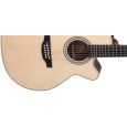 Takamine CNC-WS3 Custom Wide Neck Westerngitarre inkl. Koffer Thumbnail 4