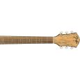 Fender FA-345CE Spalted Maple Ltd. 2019 Auditorium Westerngitarre Thumbnail 5