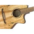 Fender FA-345CE Spalted Maple Ltd. 2019 Auditorium Westerngitarre Thumbnail 7