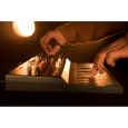 Arturia MicroFreak B-Ware Thumbnail 4