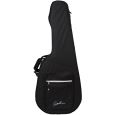 Godin TRIC Case Multiac Steel Duet Ambiance / Spectrum Koffer Thumbnail 1