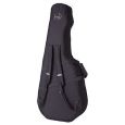 Godin TRIC Case Multiac Steel Duet Ambiance / Spectrum Koffer Thumbnail 2