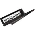 Korg RK-100S 2 TBK Schwarz Keytar Thumbnail 1
