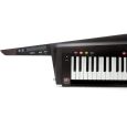 Korg RK-100S 2 TBK Schwarz Keytar Thumbnail 5