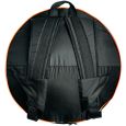 RAV Vast 2 Steel Drum B Celtic Double Ding inkl. Gigbag Thumbnail 5