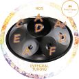MEINL Sonic Energy Harmonic Art Handpan Integral HD5 Thumbnail 10
