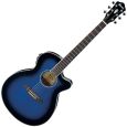 Ibanez AEG10II-TBS Westerngitarre mit 46 mm Sattelbreite B-Ware Thumbnail 1