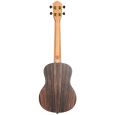 Ortega RUEB-TE Ebony Series Tenor-Ukulele inkl. Gigbag Thumbnail 2
