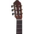 KORN Premium Classic 4/4 Konzertgitarre massive Zeder Thumbnail 7