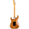 Fender American Pro II Strat MN RST PINE E-Gitarre inkl. Koffer Thumbnail 2