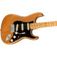 Fender American Pro II Strat MN RST PINE E-Gitarre inkl. Koffer Thumbnail 3