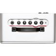 ZT Lunchbox Reverb Guitar Amp Thumbnail 2