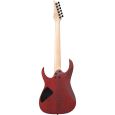 Ibanez RG421PB-CHF E-Gitarre Thumbnail 2