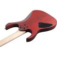 Ibanez RG421PB-CHF E-Gitarre Thumbnail 4