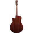Ibanez AEG50N-NT Konzertgitarre Sattelbreite 46 mm Thumbnail 2