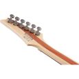 Ibanez PWM20 Paul Waggoner Signature E-Gitarre Thumbnail 8