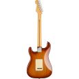 Fender American Pro II Strat HSS SS E-Gitarre inkl. Koffer Thumbnail 2