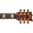 ESP Ltd EC-1000 GOLDAND E-Gitarre Thumbnail 5