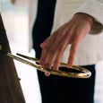 Moog Claravox Centennial Theremin Thumbnail 15