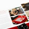 Bjooks Pedal Crush Thumbnail 11