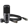 Steinberg UR22 MKII Recording Pack Elements Edition Thumbnail 3