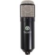 Townsend Labs Sphere L22 Mic System Thumbnail 1